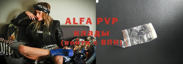 сатива Горняк