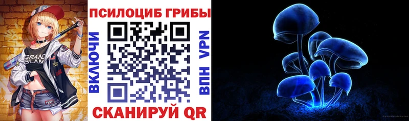 мега как войти Снежногорск Галлюциногенные грибы Cubensis